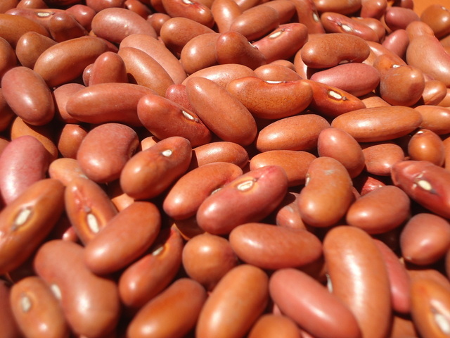 velké červené fazole